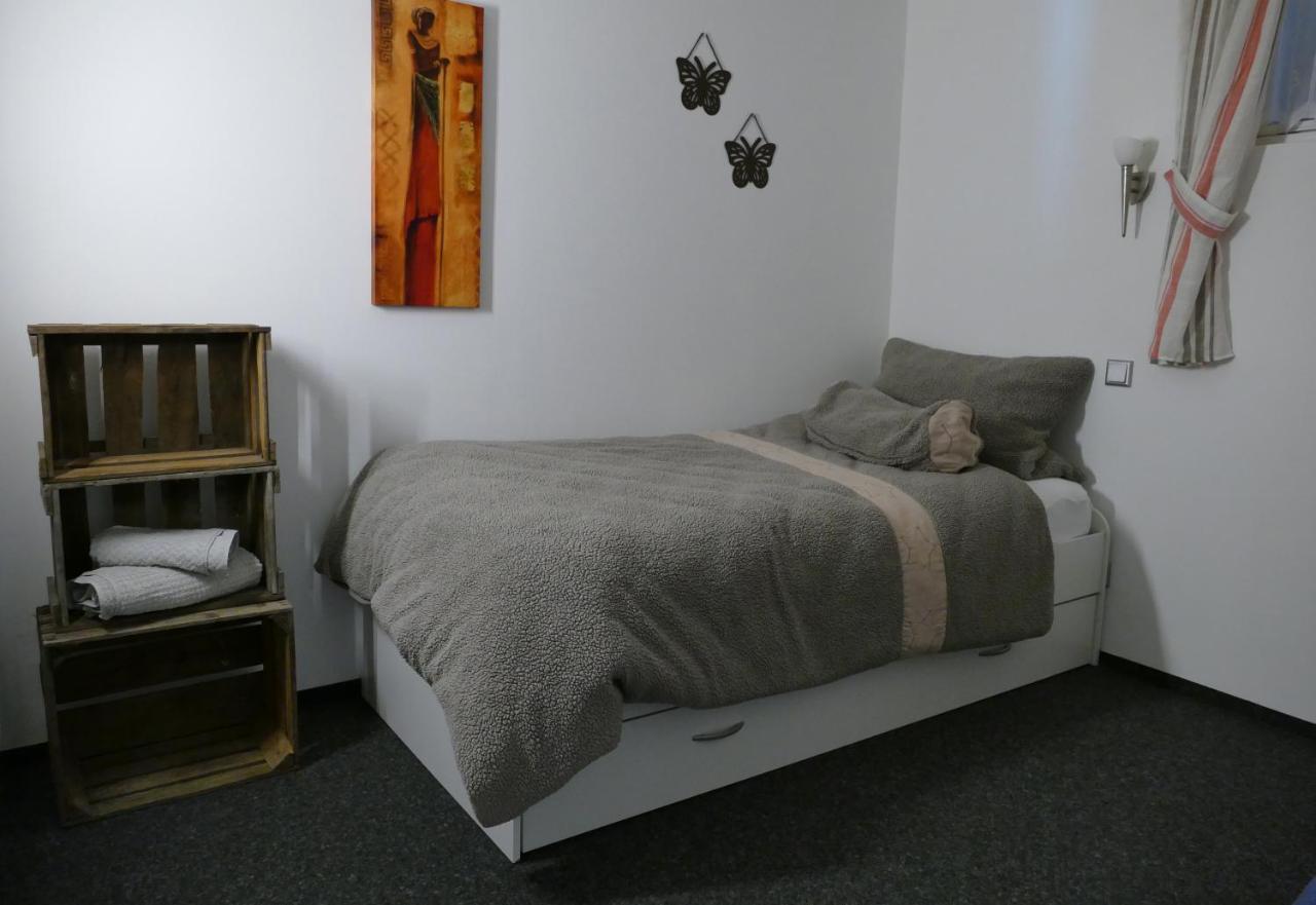 Aktiv-Ferienwohnung "Snow & Bike"- Zentral Zwischen Winterberg Und Willingen Екстер'єр фото
