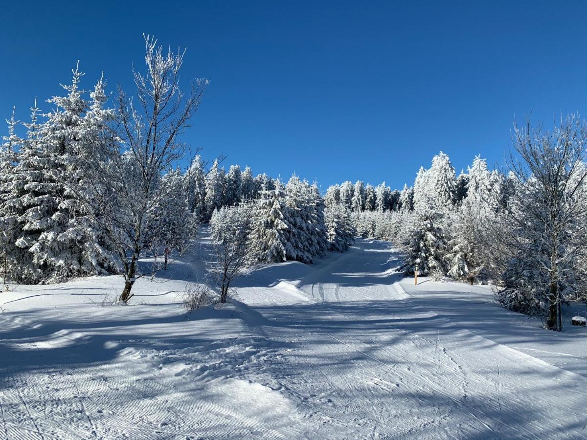 Aktiv-Ferienwohnung "Snow & Bike"- Zentral Zwischen Winterberg Und Willingen Екстер'єр фото