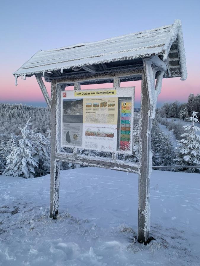 Aktiv-Ferienwohnung "Snow & Bike"- Zentral Zwischen Winterberg Und Willingen Екстер'єр фото